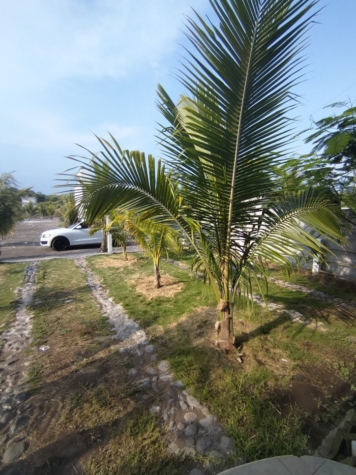 HERMOSA CASA EN #VENTA EN MONTERRICO