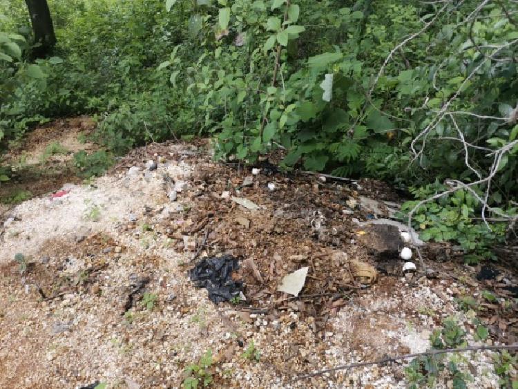 TERRENO EN VENTA EN KM 21.5 EN MIXCO — foto 6