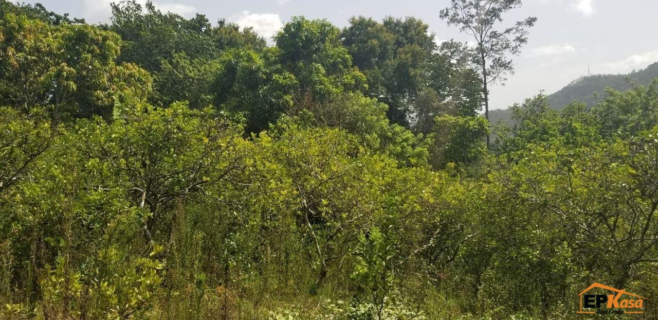 Finca de Venta con casa en Jarabacoa - 4