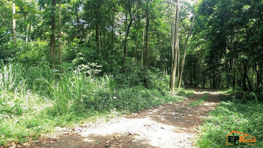 Terreno de venta próximo a la Parada corazon de Jesus