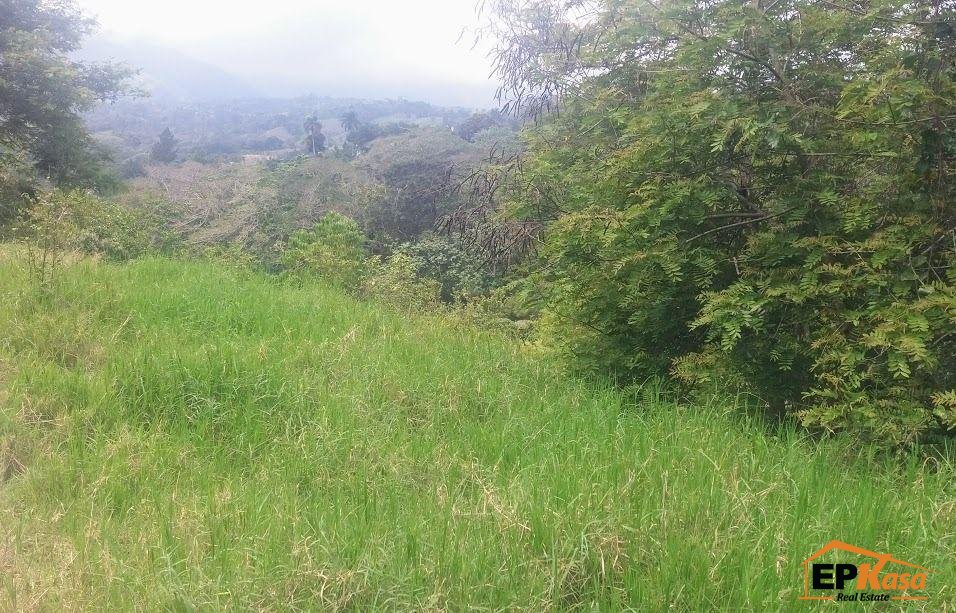 Solar de venta en Jarabacoa