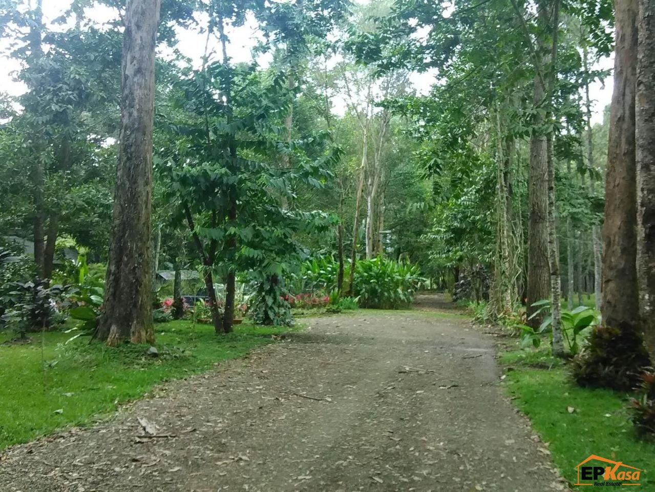 Villas de renta en Vacacional La Planta, Jarabacoa - 3