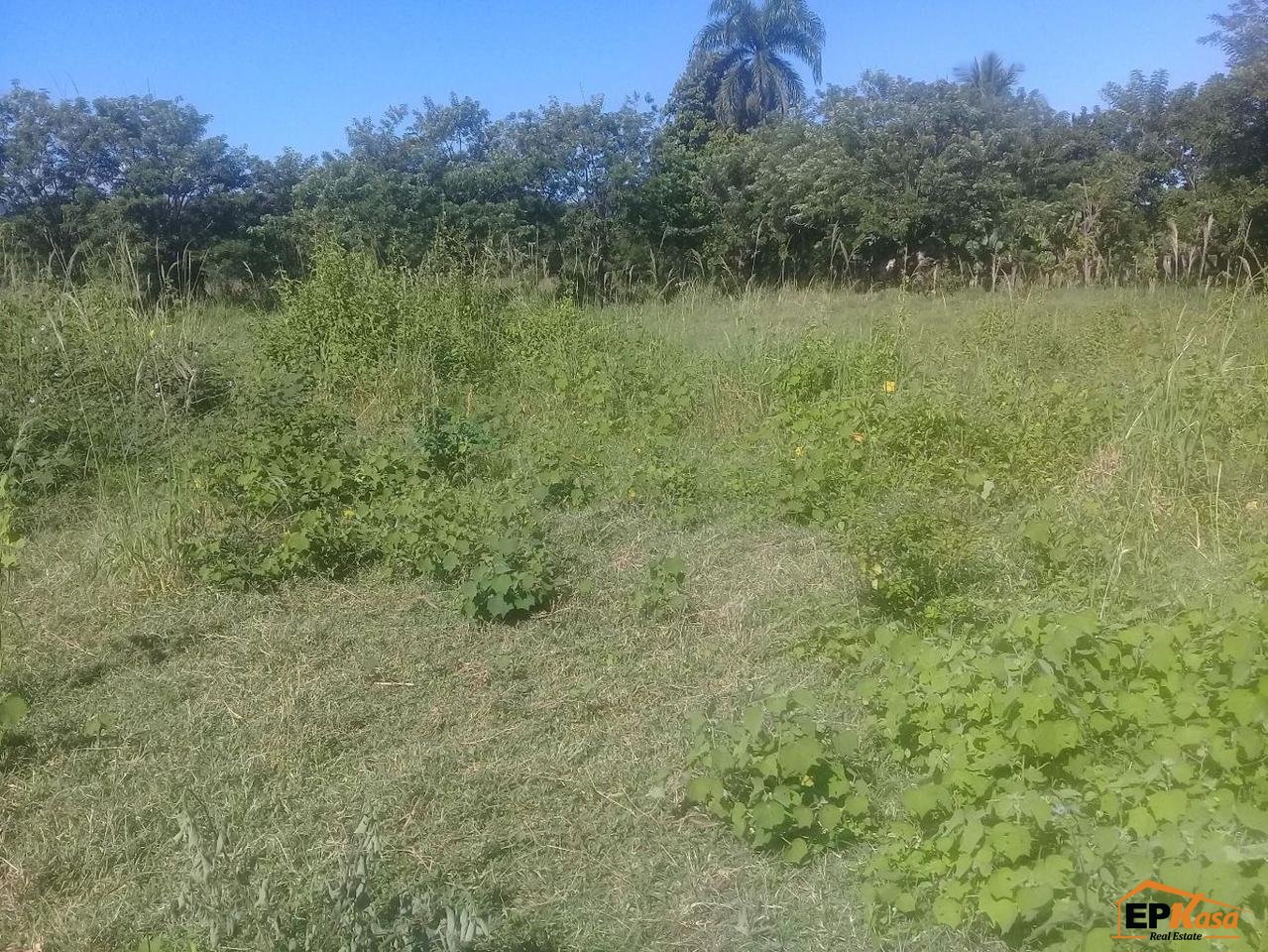 Solar de Venta en Jarabacoa — foto 2