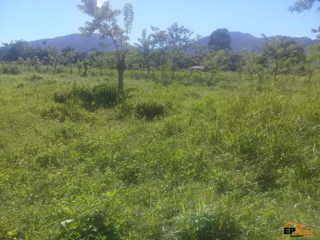 Solar de Venta en Jarabacoa — foto 3