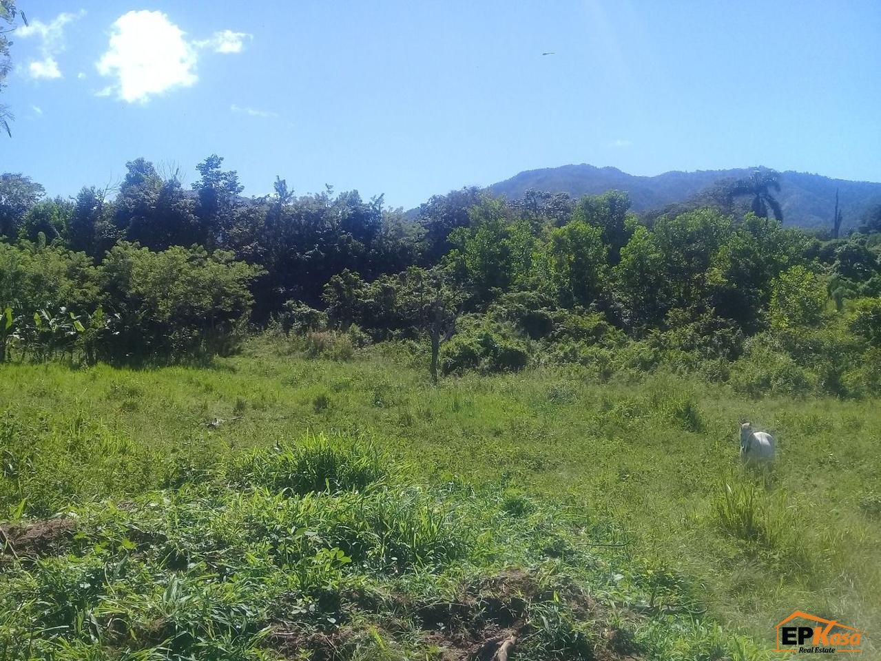 Solar de Venta en Jarabacoa — foto 4