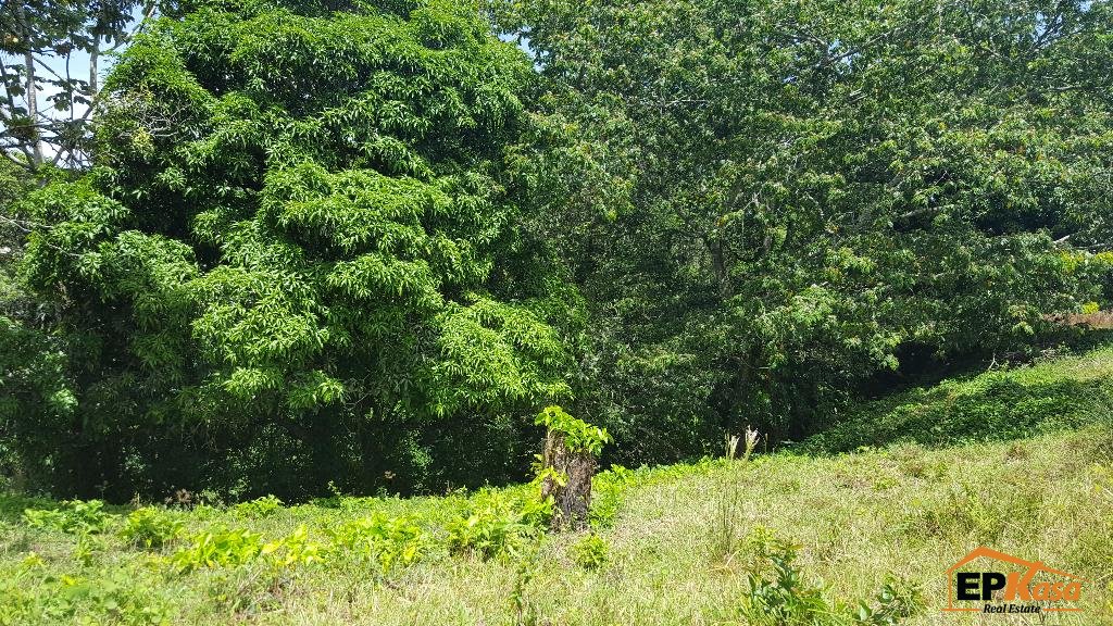 Solar de Venta con rio en Jarabacoa