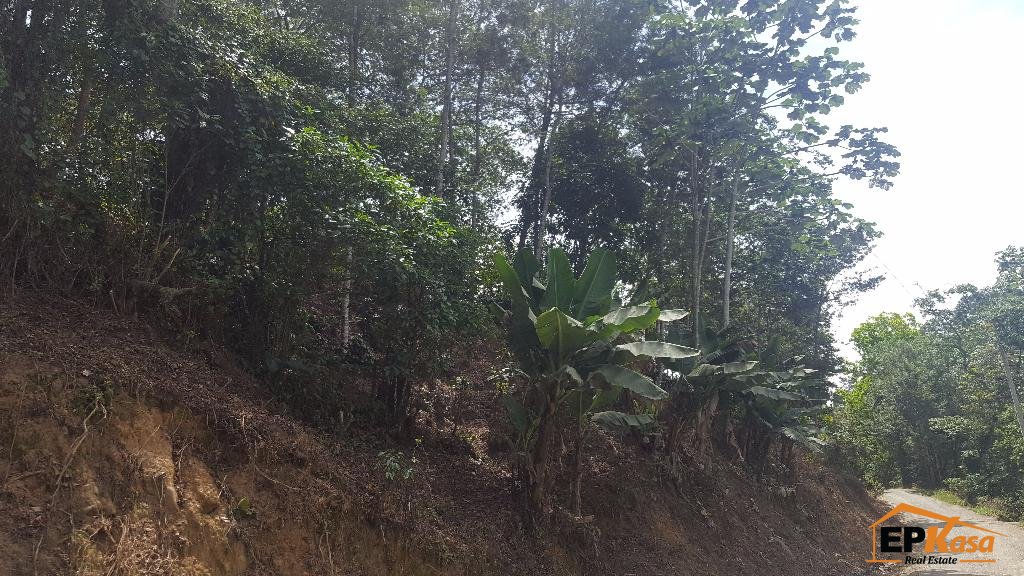 Finca Cafetalera de venta en Paso Bajito, Jarabacoa