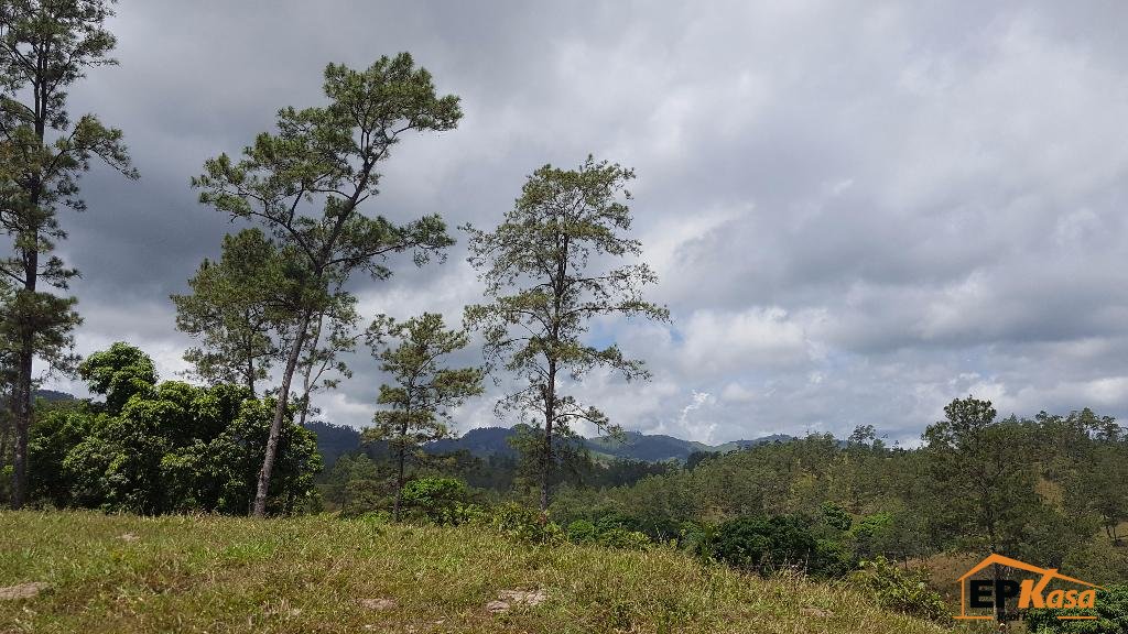 Finca de Venta en Jarabacoa
