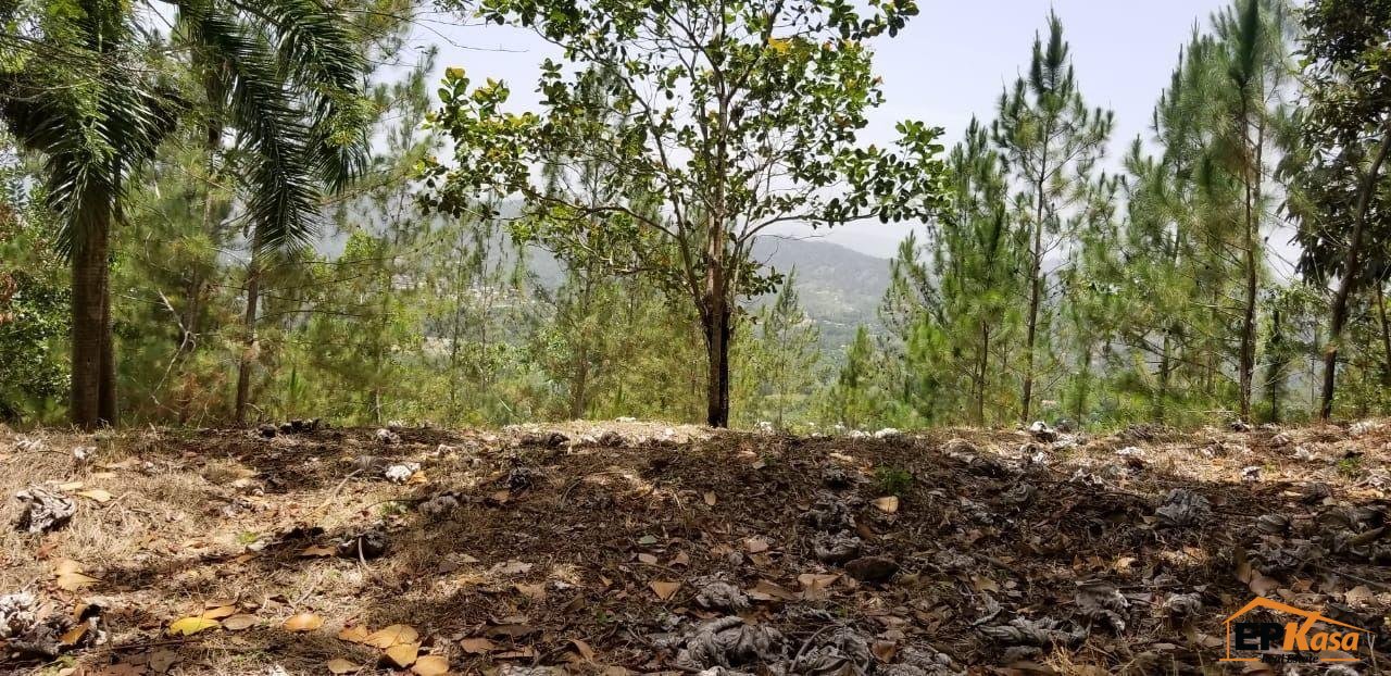 Solar de venta en La Loma, Hato Viejo, Jarabacoa — foto 3