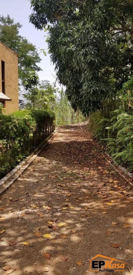 Solar de venta en La Loma, Hato Viejo, Jarabacoa — foto 2