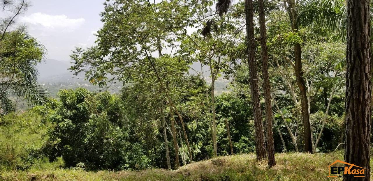 Solar de Venta en Jarabacoa Hato Viejo — foto 2