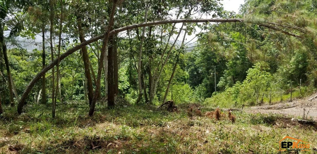 Solar de Venta en Jarabacoa Hato Viejo