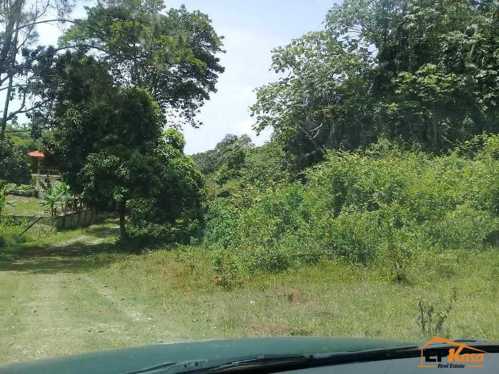 Solar de Venta en Jarabacoa Hato Viejo — foto 4