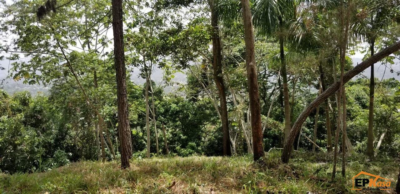 Solar de Venta en Jarabacoa Hato Viejo — foto 3