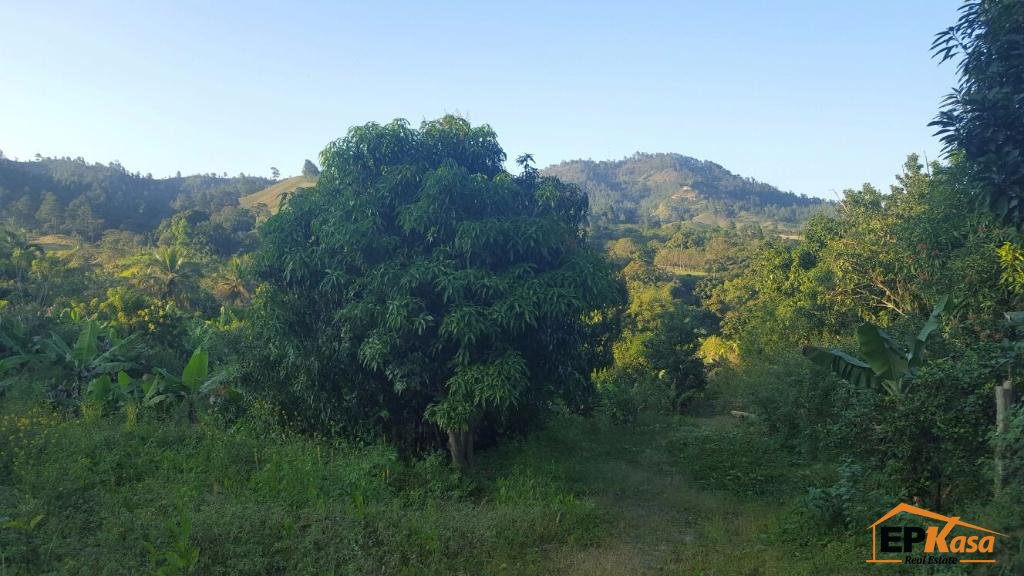 Solar de venta en Pinar Quemado, Jarabacoa