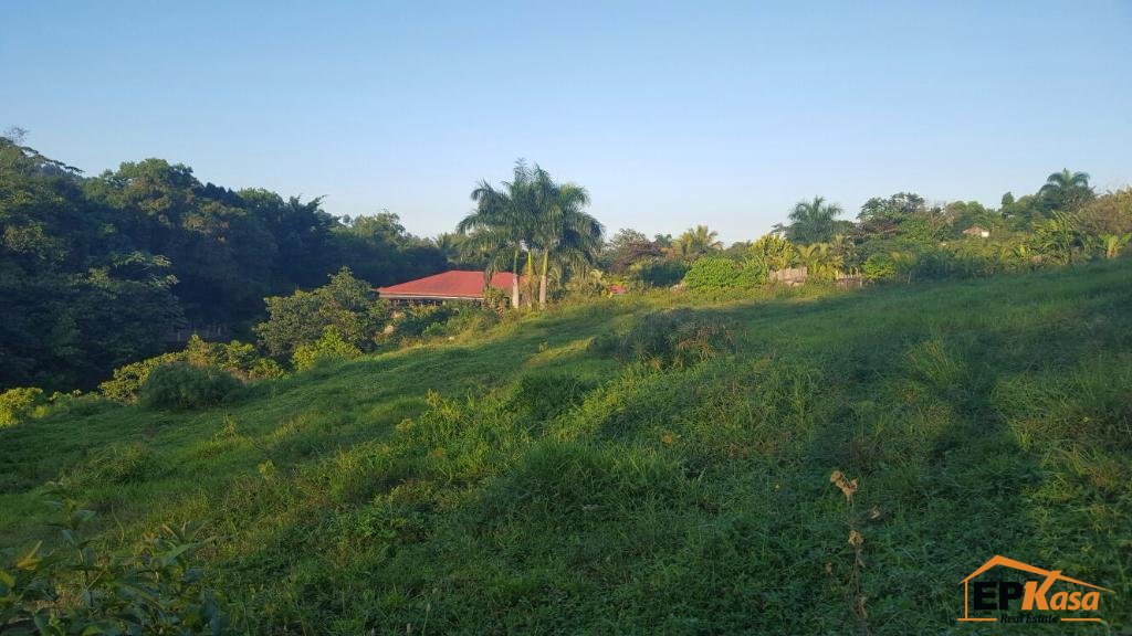 Solar de venta en Pinar Quemado, Jarabacoa — foto 2