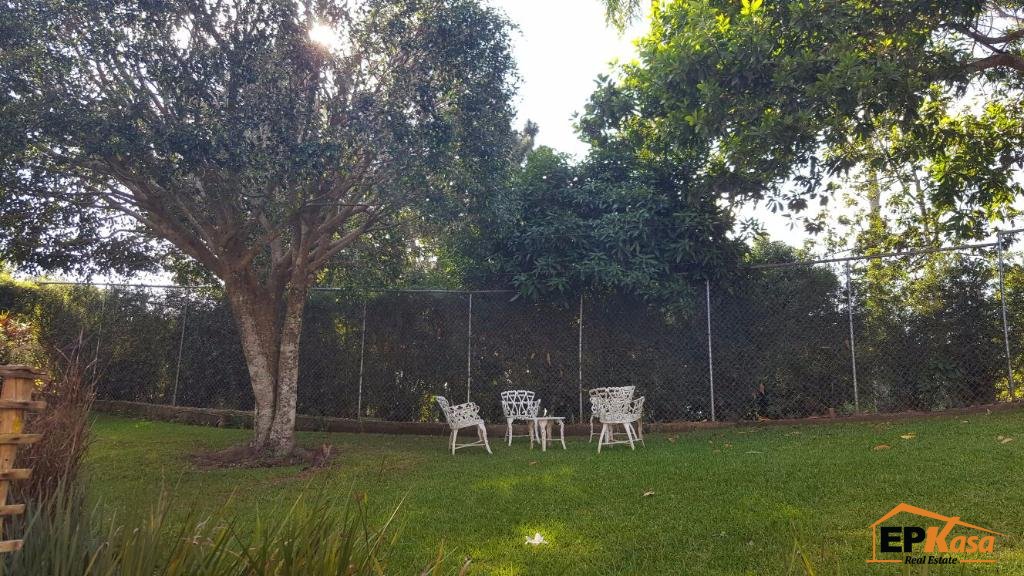 Villa de venta y renta en Jarabacoa. - 5