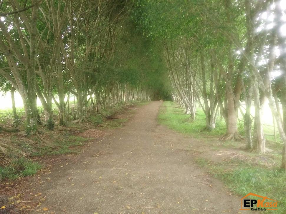 Finca de Venta en Jarabacoa