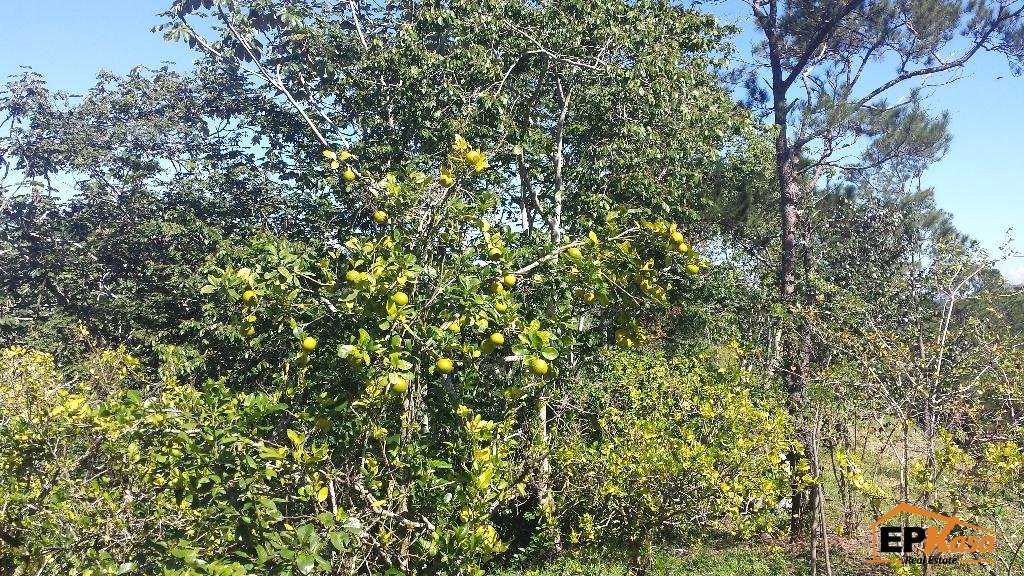 Solar de venta en Jarabacoa