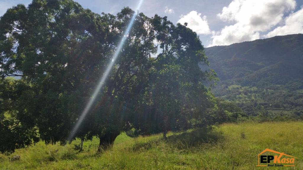 Finca de Venta en Jarabacoa — foto 4