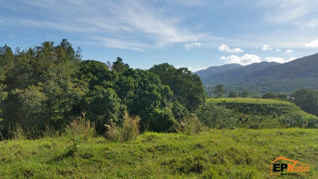 Finca de Venta en Jarabacoa — foto 6