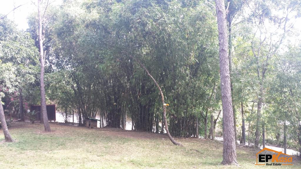 Finca de Venta en Hato Viejo, Jarabacoa. — foto 4