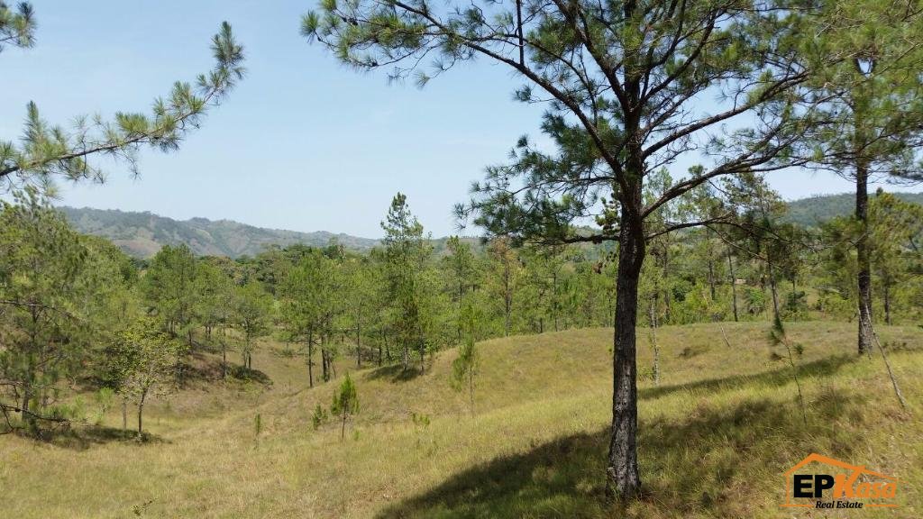 Finca de Venta en Hatillo, Jarabacoa