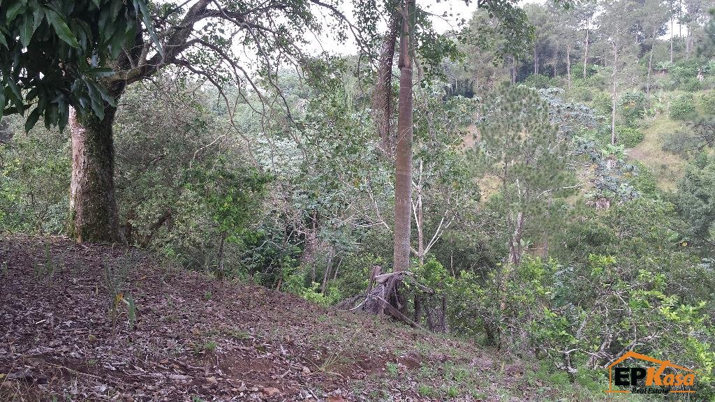 Solar de venta en Jarabacoa