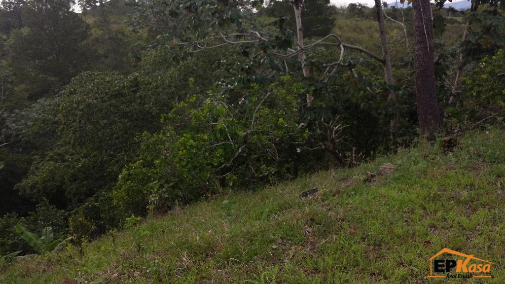 Solar de venta en Jarabacoa — foto 2
