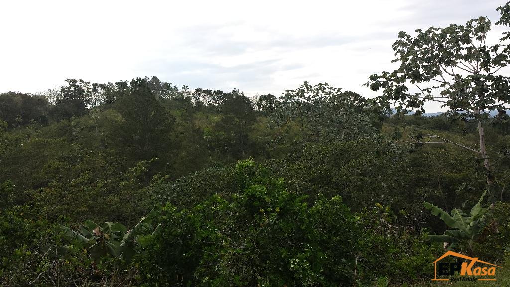 Solar de venta en Jarabacoa — foto 3