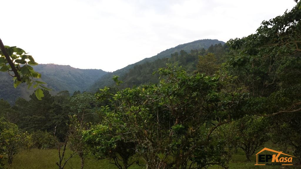 Solar de venta en Jarabacoa — foto 2
