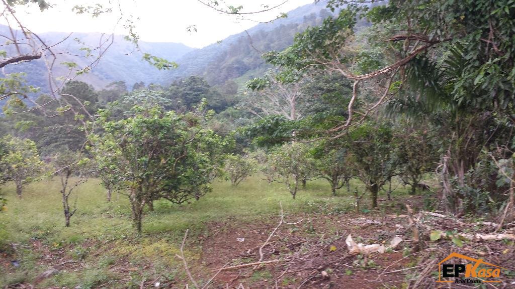 Solar de venta en Jarabacoa