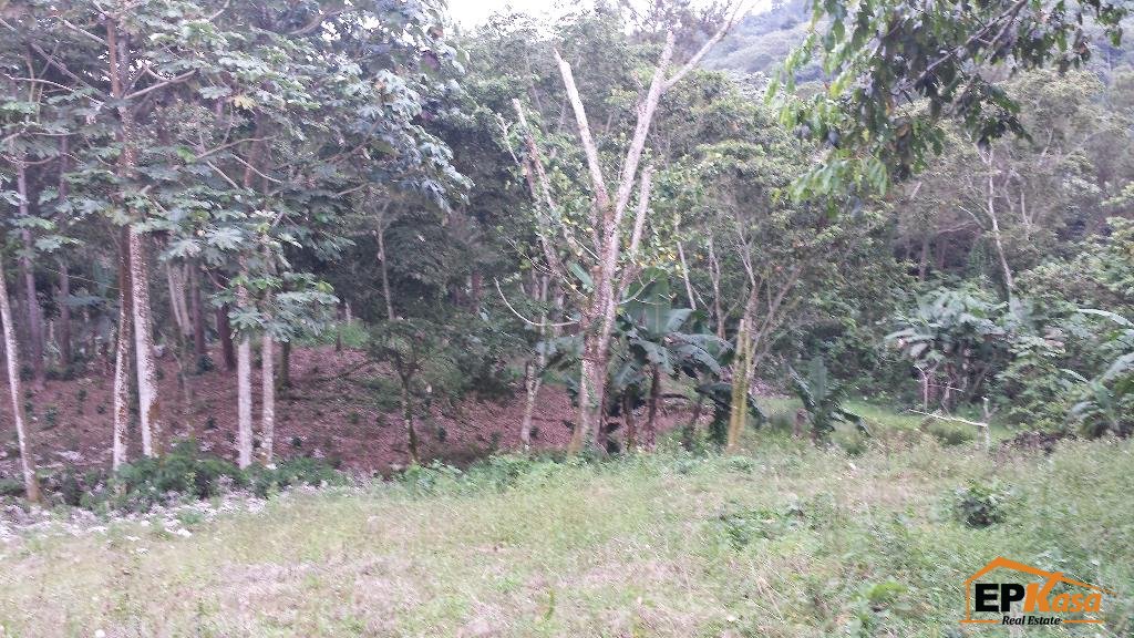 Terreno en Venta en Jarabacoa — foto 5