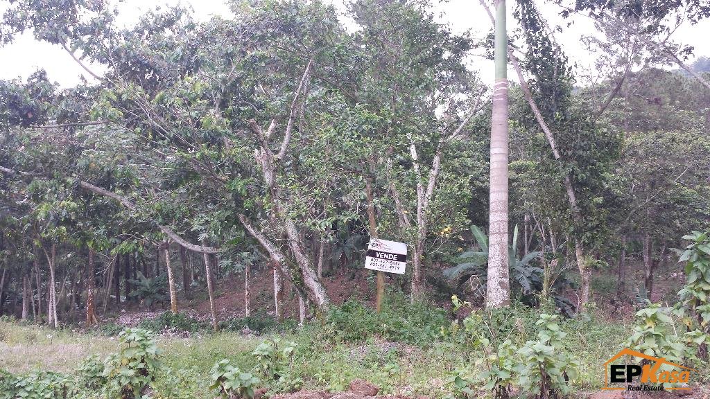 Terreno en Venta en Jarabacoa