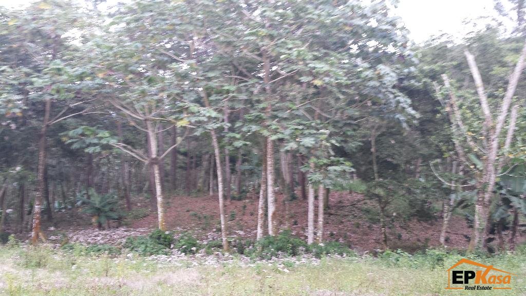 Terreno en Venta en Jarabacoa — foto 4