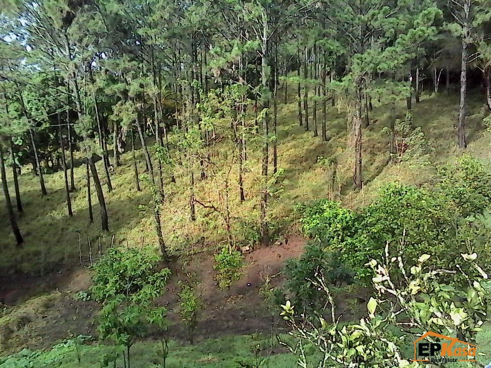 Villa de renta Amueblada de Jarabacoa - 22