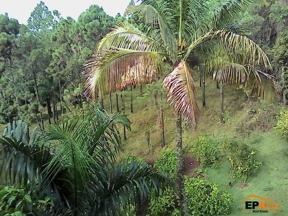Villa de renta Amueblada de Jarabacoa - 24