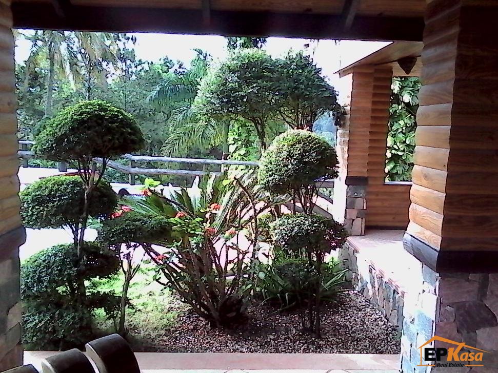 Villa de renta Amueblada de Jarabacoa - 16