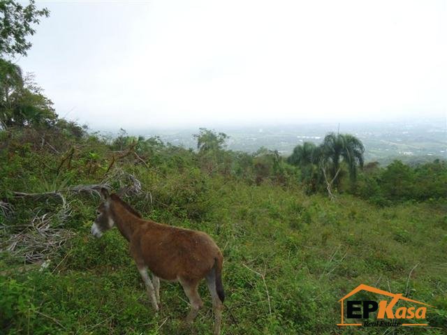 Finca en venta en Santiago de los Caballeros, Gurabo — foto 6