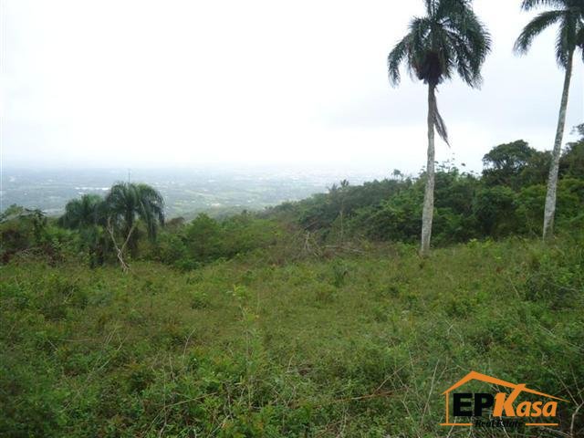 Finca en venta en Santiago de los Caballeros, Gurabo — foto 2