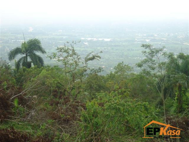 Finca en venta en Santiago de los Caballeros, Gurabo — foto 4