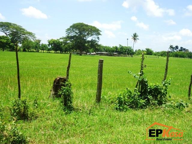 Venta de Finca en Licey, Las Palomas, Santiago
