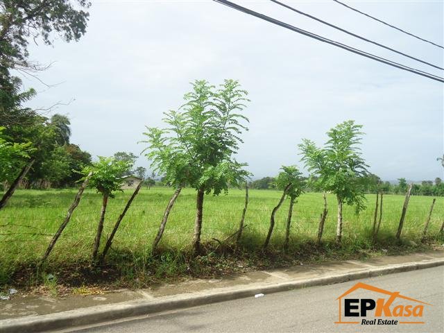 Venta de Finca en Licey, Las Palomas, Santiago — foto 3