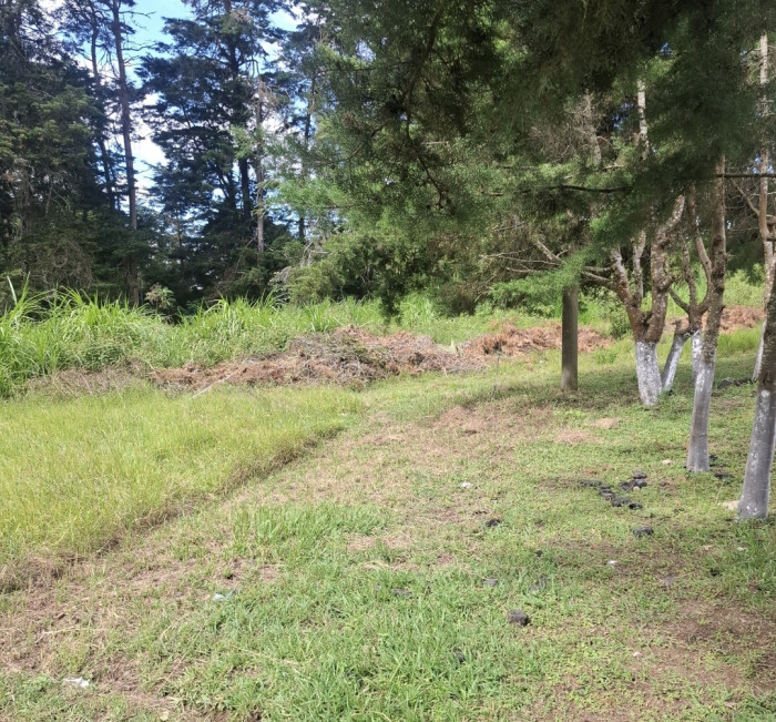 Terreno comercial renta 4586Vrs Carretera el Salvador