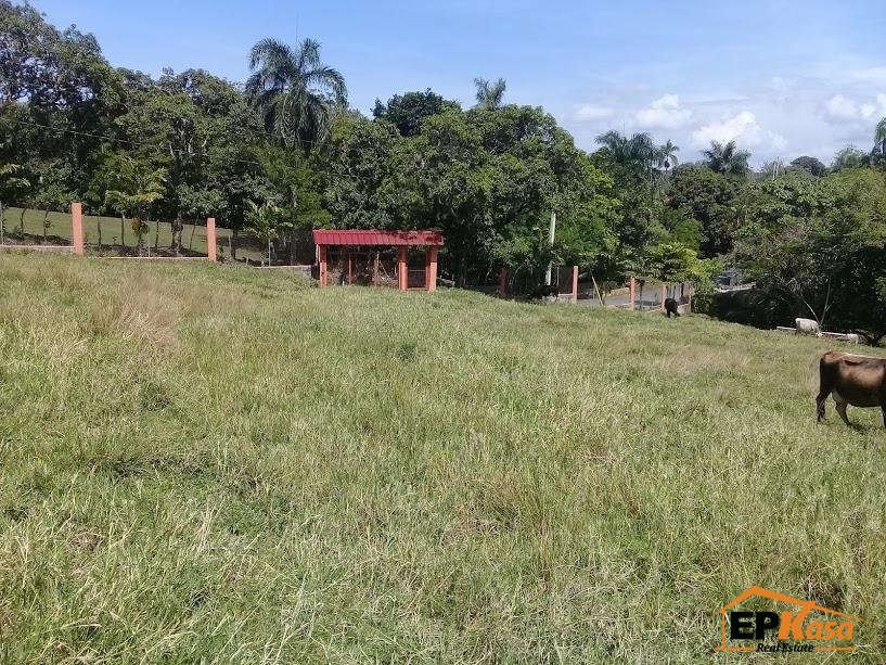 Finca en Venta Buena Vista