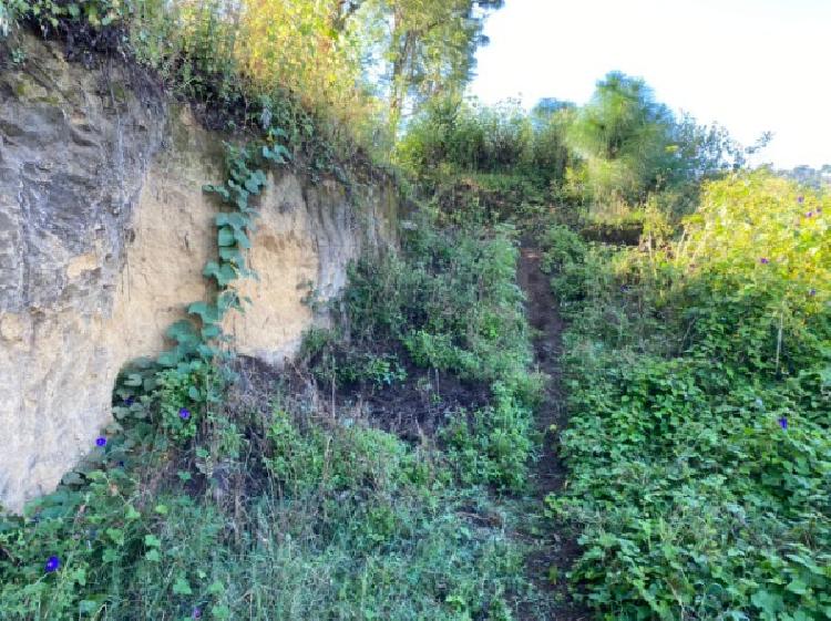 TERRENO RUSTICO EN VENTA EN CHIMALTENANGO - 7