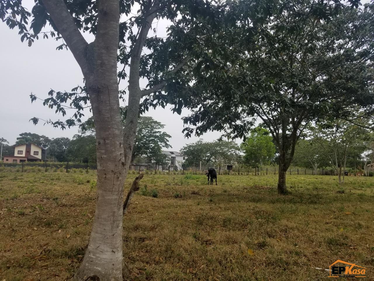 Terreno en Venta en Jarabacoa