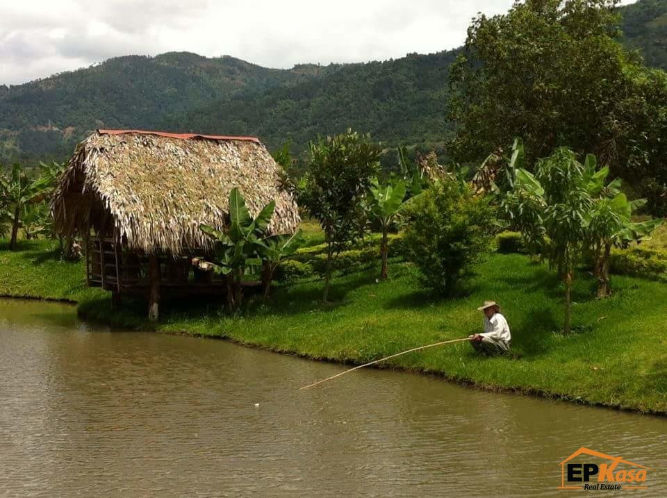 Villa vacacional de Renta en Jarabacoa. - 12