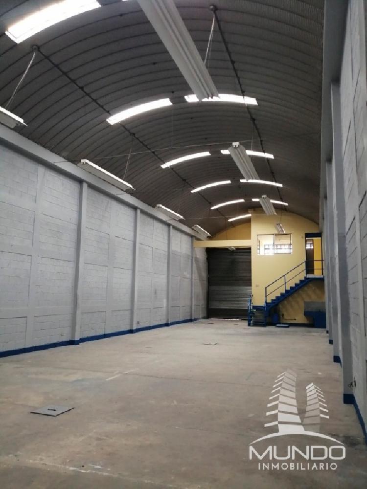 OFIBODEGA EN RENTA EN ZONA 17 / MUNDO INMOBILIARIO - 7