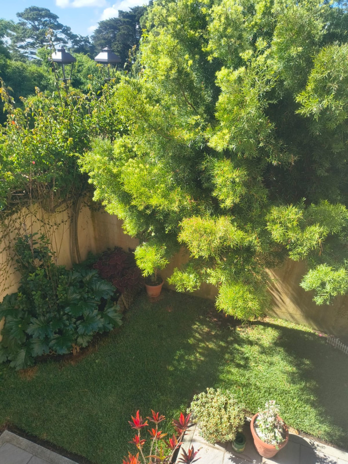 Casa en renta y venta Cumbres de La Arboleda km 21 CAES — foto 7